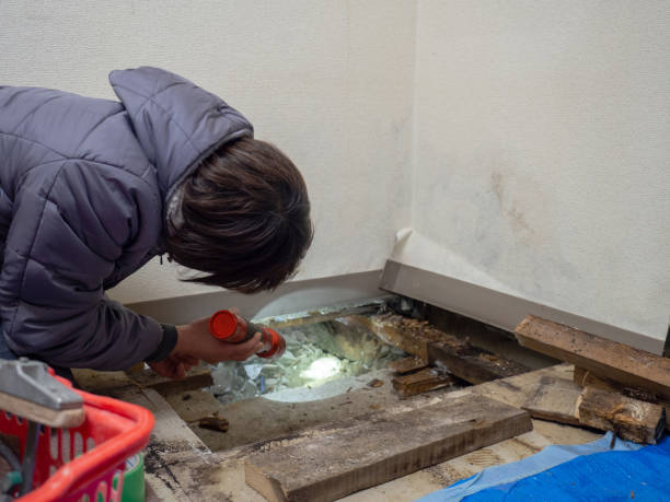 Best Dehumidification Services  in Espaola, NM