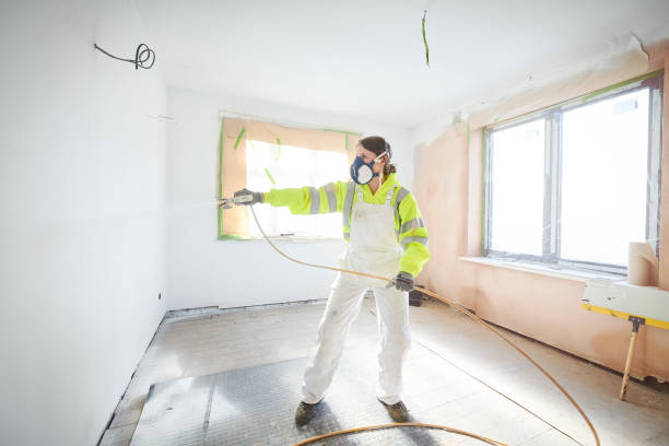 Best Mold Odor Removal Services  in Espaola, NM