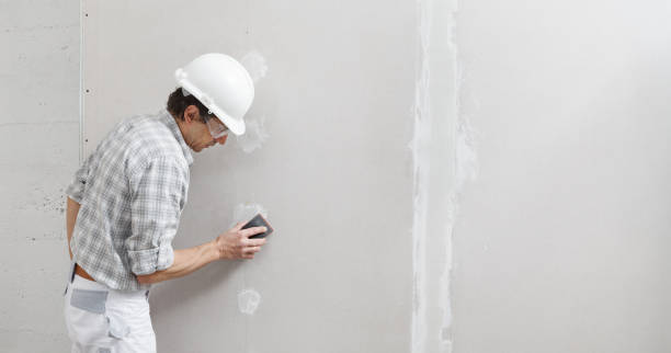 Best Mold Damage Restoration  in Espaola, NM